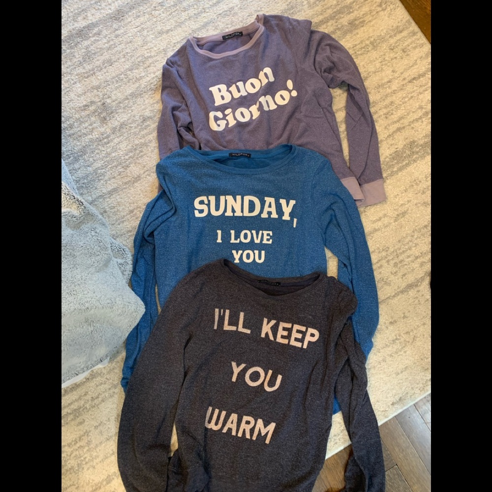 Wildfox sweatshirts size medium (3), originally $88 a piece